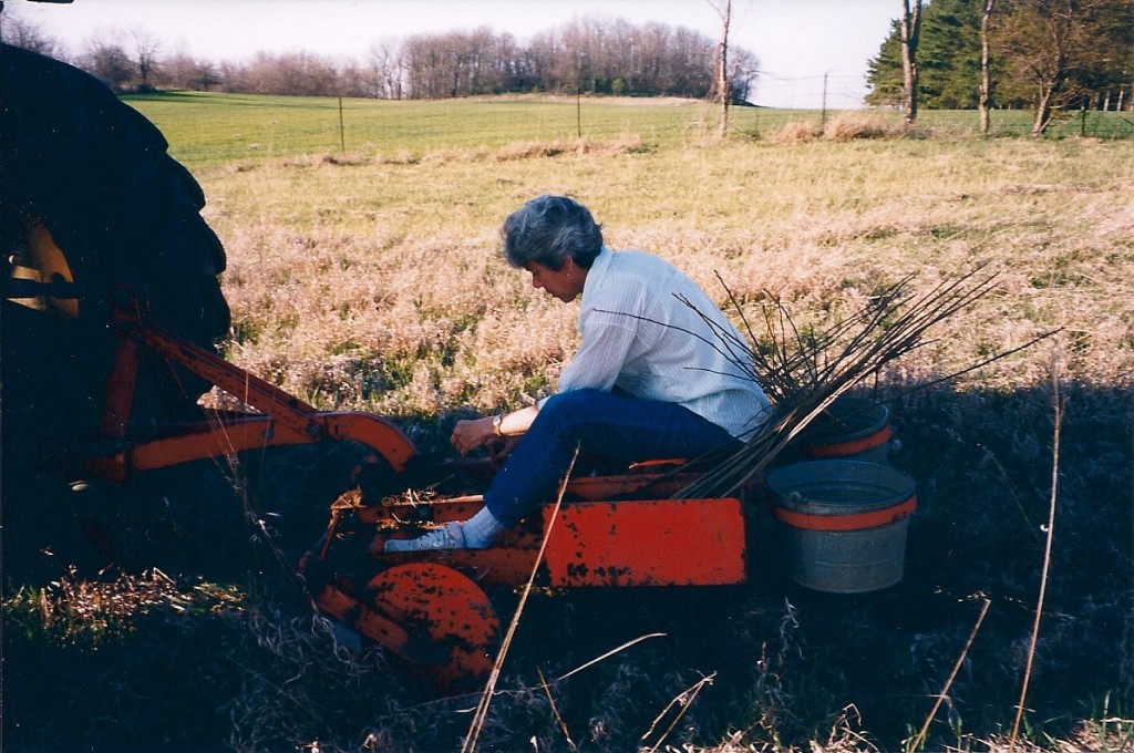 Spring, 2000, operating the planter in the field behind the pond